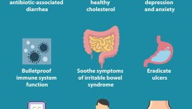 The Key to a Healthy Gut: Probiotics Explained  