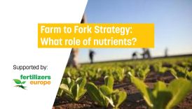 From Farm to Fork: Understanding the Role of Nutrition in Health  