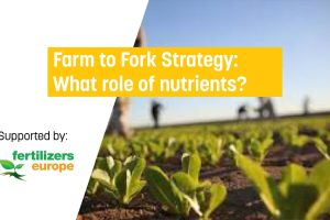 From Farm to Fork: Understanding the Role of Nutrition in Health