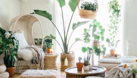 10 Boho Decor Ideas to Transform Your Home  