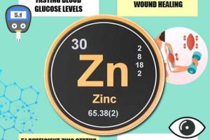 From A to Zinc: How Vitamins Can Transform Your Health