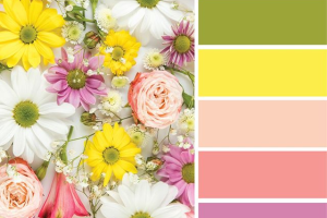 From Floral Prints to Pastel Palettes: Spring Decor Essentials