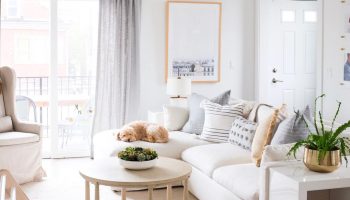 Budget-Friendly Ways to Refresh Your Home Decor for Spring