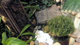 Pond Illusion: Using Mirrors to Create Depth and Visual Interest in Your Water Feature  