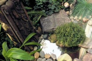 Pond Illusion: Using Mirrors to Create Depth and Visual Interest in Your Water Feature