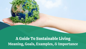 The Family's Guide to Sustainable Healthy Living Habits  