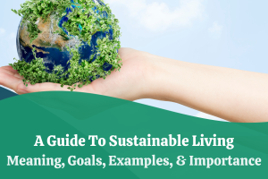 The Ultimate Guide to Designing a Sustainable Healthy Life Program