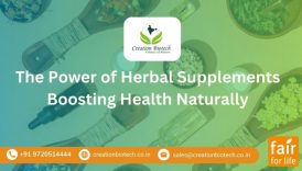 Discover the Power of Herbal Supplements for Sustained Health  