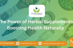 Discover the Power of Herbal Supplements for Sustained Health