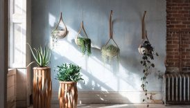 Bringing the Outdoors In: Incorporating Nature-Inspired Décor Elements into Your Home  