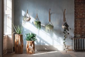 Bringing the Outdoors In: Incorporating Nature-Inspired Décor Elements into Your Home