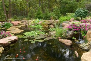 Reflecting Nature: Enhancing Your Pond Ecosystem with a Mirror Addition