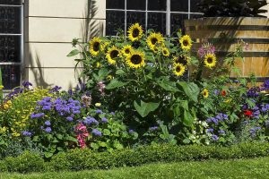 Bringing the Outdoors In: Sunflower Decor for a Fresh and Inviting Home