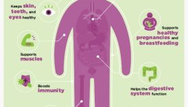 Cracking the Nutritional Benefits: A Path to a Healthier Lifestyle  