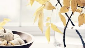 Seasonal Simplicity: Minimalist Approaches to Autumn Decor  