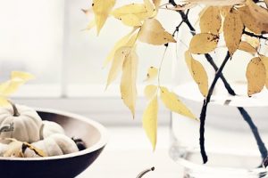 Seasonal Simplicity: Minimalist Approaches to Autumn Decor