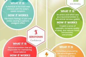 The Science Behind hl5: Optimize Your Health and Happiness