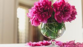 The Ultimate Guide to Choosing the Perfect Flower Vase  