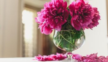 The Ultimate Guide to Choosing the Perfect Flower Vase