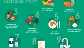 How to Make Sustainable Nutrition Choices for a Healthy Life  