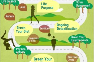 Discover the Path to Longevity with Health E Living Strategies