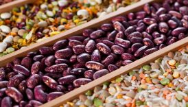 How Beans Are Fueling Health and Longevity in Blue Zones  