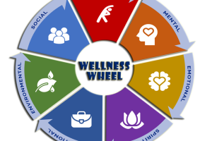 Wellness Warriors: Joining the Movement Towards Healthy Living