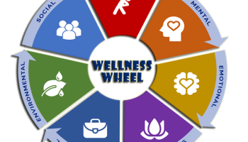 Wellness Warriors: Joining the Movement Towards Healthy Living