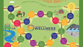 Your Path to Wellness  