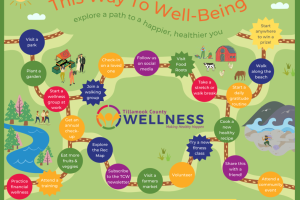 Your Path to Wellness