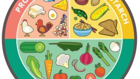 Building Blocks of Health: The Healthy Plate Guide  