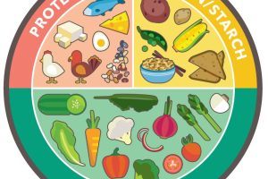 Building Blocks of Health: The Healthy Plate Guide