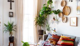 Unlocking Your Home's Potential: Tips for Mixing and Matching Decor Items  