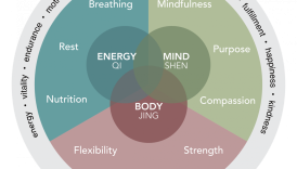 Holistic Wellness: The Modere Approach to Healthy Living  