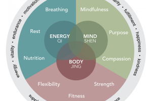 Holistic Wellness: The Modere Approach to Healthy Living