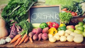 Discovering the Power of Organic Living at the Healthy Living Shop  