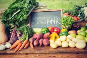 Discovering the Power of Organic Living at the Healthy Living Shop