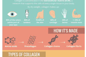 The Science Behind Collagen and Its Benefits for Healthy Living