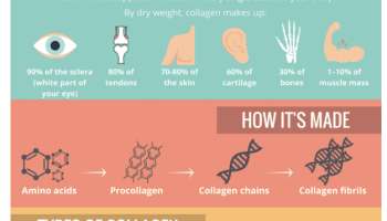 The Science Behind Collagen and Its Benefits for Healthy Living  