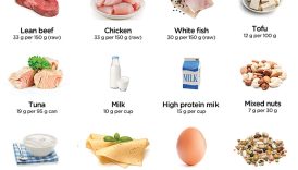 Elevate Your Health with these Protein-Rich Foods  