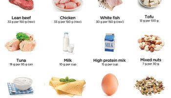 Elevate Your Health with these Protein-Rich Foods