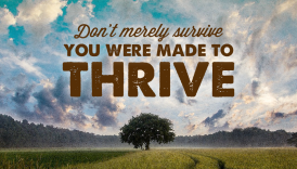 From Surviving to Thriving: The Journey to a Vigorous Healthy Life  