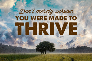 From Surviving to Thriving: The Journey to a Vigorous Healthy Life