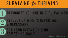 From Surviving to Thriving: Your Guide to a Healthy and Vibrant Existence  