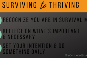 From Surviving to Thriving: Your Guide to a Healthy and Vibrant Existence