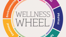 Unlocking the Path to Wellness: Tips for a Healthy Life  