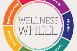 Unlocking the Path to Wellness: Tips for a Healthy Life